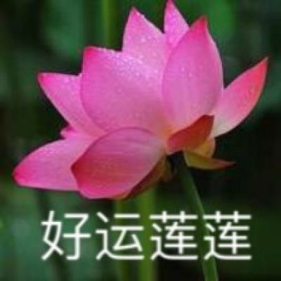 祝福！世界羽坛连日来喜事连连，中日两国四位世界冠军大婚