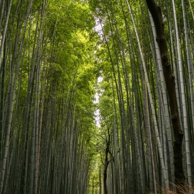 传销“黑名单”，11城上榜